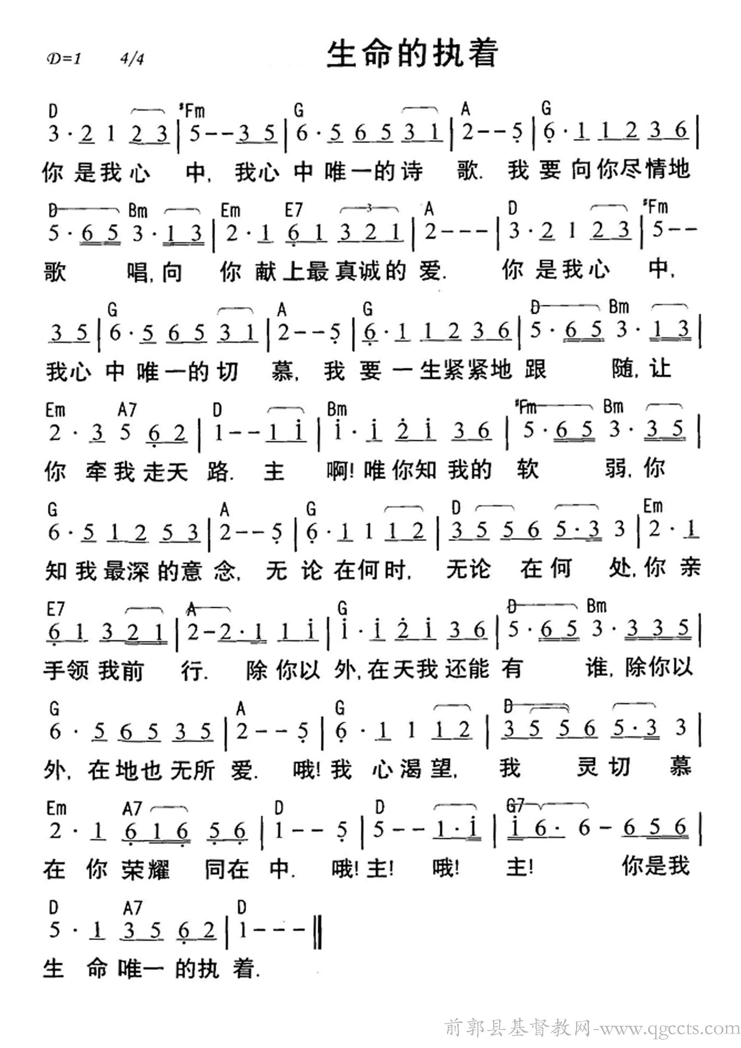 生命的执着歌谱简谱